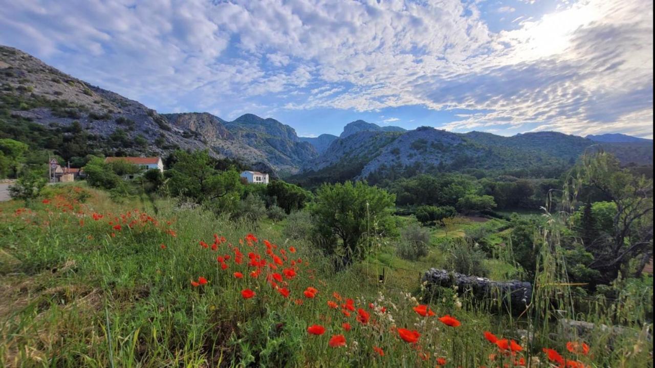 Apartments Paklenica Starigrad Paklenica Exterior foto